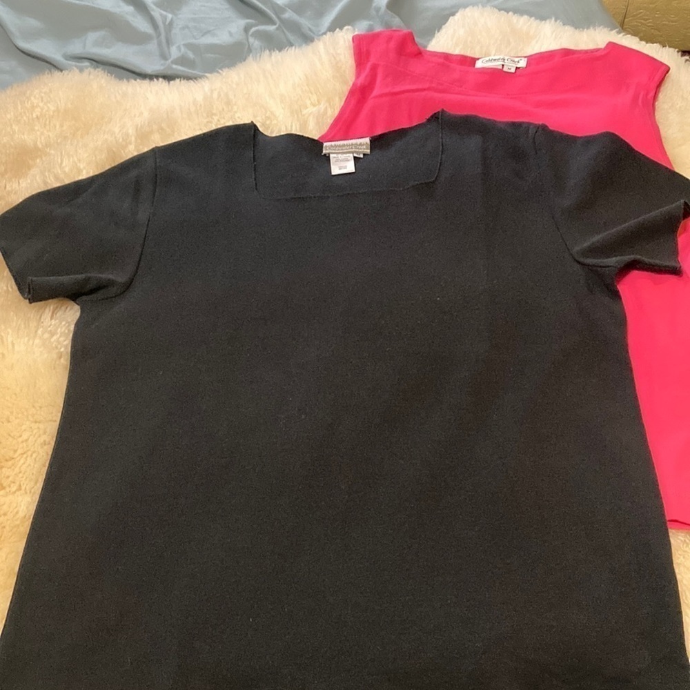 Coldwater Creek pair of tops size medium